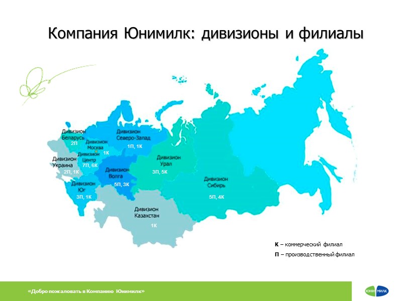 Компания Юнимилк: дивизионы и филиалы 7П, 6К 1П, 1К К – коммерческий филиал П